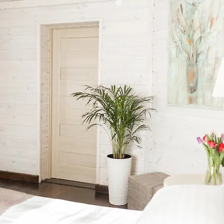 Guest House Slavske
